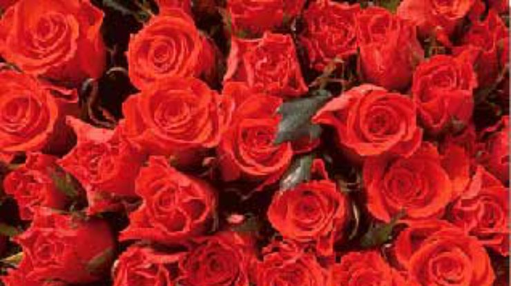 Эксцентричный китаец подарил своей возлюбленной 99 999 роз