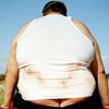 США: жир как предмет политической дискуссии