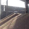 Львовская область купила в России 80 тысяч тонн зерна