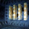Американскому институту крионики запретили замораживать людей