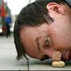 Британец будет толкать земляной орех носом по улицам Лондона в знак протеста