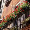 Жителям города, выращивающим цветы на балконах, могут предоставить льготы