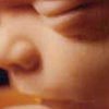 Ученые сфотографировали как улыбаются дети в утробе матери