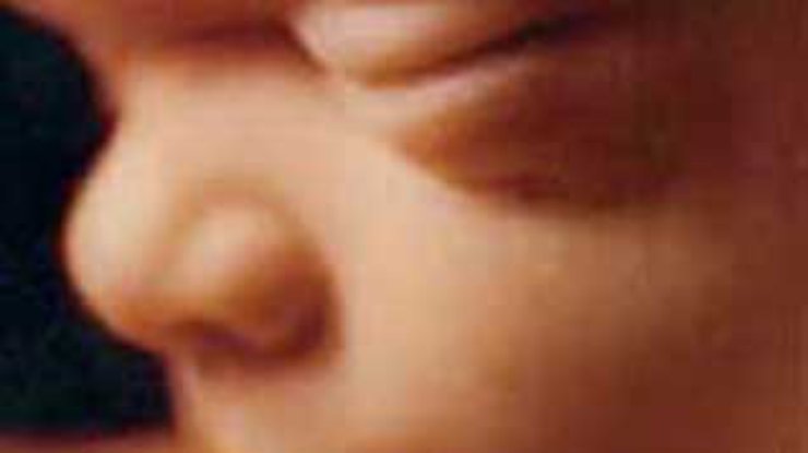 Ученые сфотографировали как улыбаются дети в утробе матери