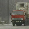 В Днепропетровской области под колесами КамАЗа погибли две девушки. Водитель покончил жизнь самоубийством
