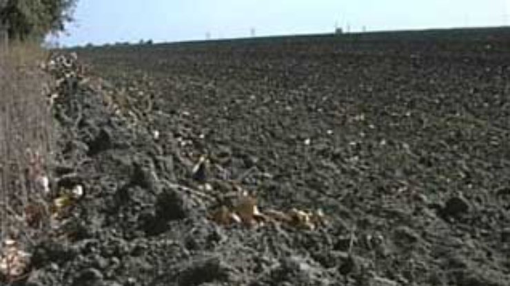 Днепропетровские аграрии прекратили сев озимых