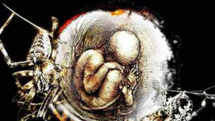 Эмбрионы двух британских женщин уничтожат по решению суда