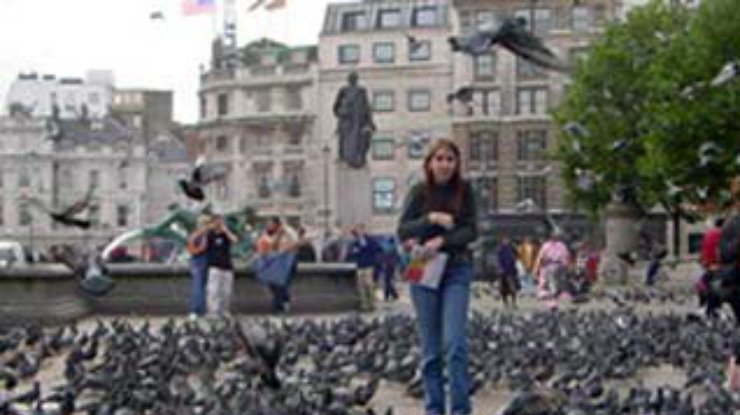 Власти Лондона одержали победу над голубями