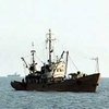 Из-за дамбы в Керченском проливе значительно сократился улов украинских рыбаков