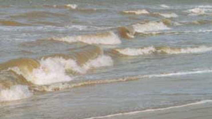 Уровень загрязнения моря нефтепродуктами близ Мариуполя превышает норму в 3 раза