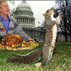 Буш разрешил военным травить редких животных