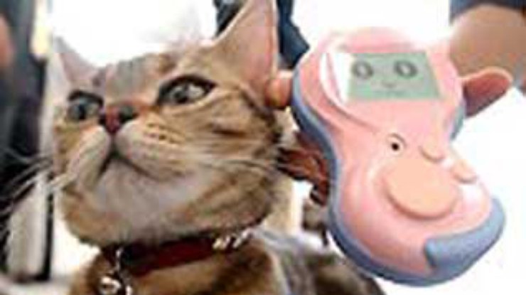 В Японии поступил в продажу первый в мире переводчик с кошачьего языка