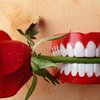 Ученые из Чикаго вырастили в лаборатории челюсть