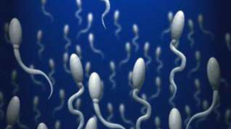 Японские ученые создали искусственные сперматозоиды