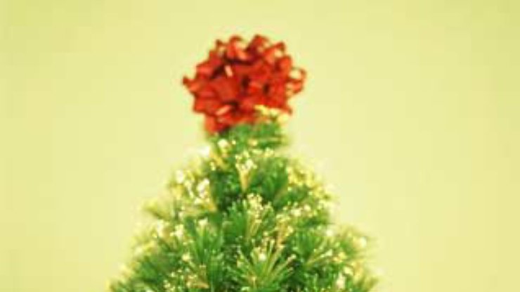 Рождественскую елку убрали по соображениям политкорректности