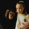 Человека и шимпанзе различают гены обоняния
