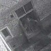 В одном из английских дворцов камера видеонаблюдения засняла привидение