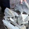Житель Полтавской области нашел останки мамонта