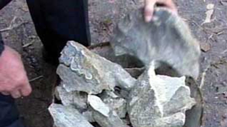 Житель Полтавской области нашел останки мамонта