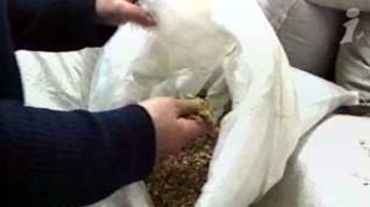 СБУ на Рождество конфисковала 2 тонны наркосырья в Киевской области