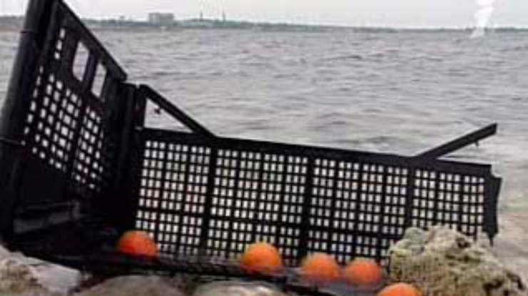 Несколько дней море приносило цитрусовые в дар севастопольцам