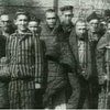 Германия заплатит компенсацию подопытным в нацистских лагерях