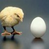 Выборы и экономика: курица и яйцо