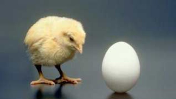 Выборы и экономика: курица и яйцо