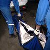 Медсестра забила ногами насмерть больного москвича
