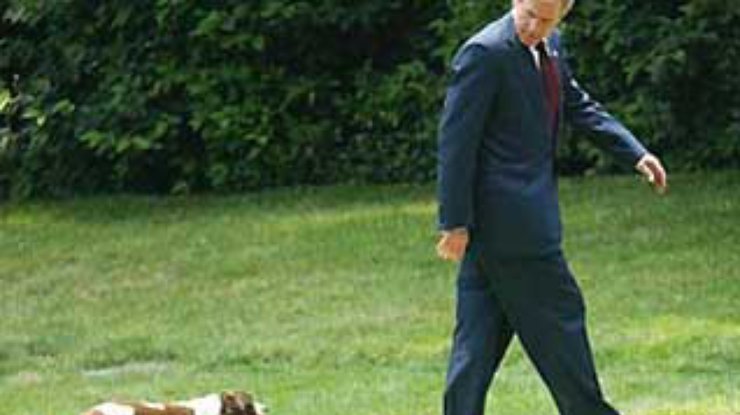 У Буша умерла любимая собака