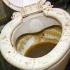 Американский грабитель за необычное преступление приговорен к чистке 100 туалетов