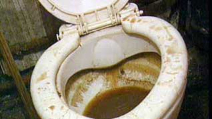 Американский грабитель за необычное преступление приговорен к чистке 100 туалетов