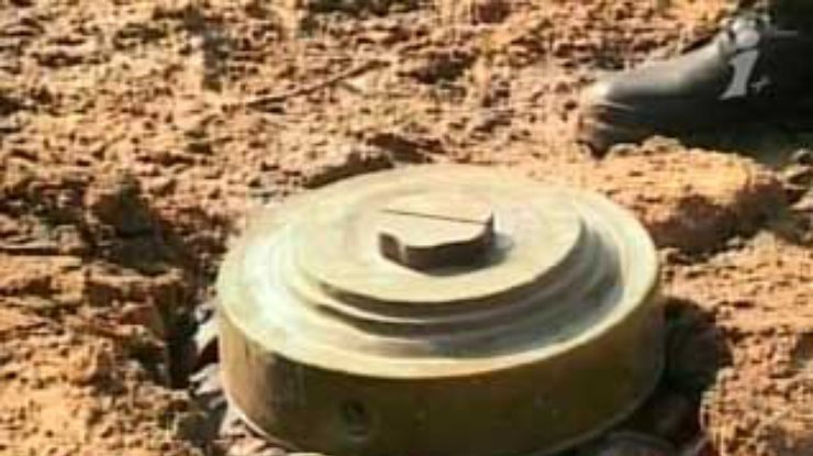 Донецким специалистам поручат утилизировать белорусские противопехотные мины