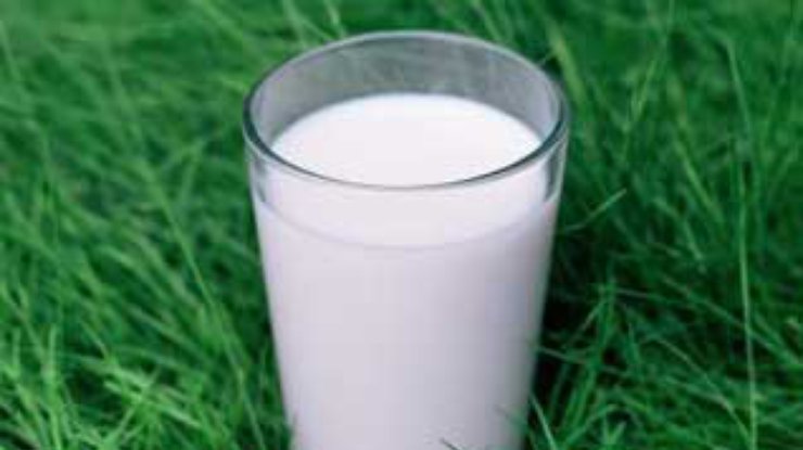 Ирландские учёные улучшили коровье молоко