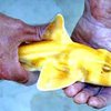 Редчайшая желтая акула выставлена на всеобщее обозрение в Сиднее
