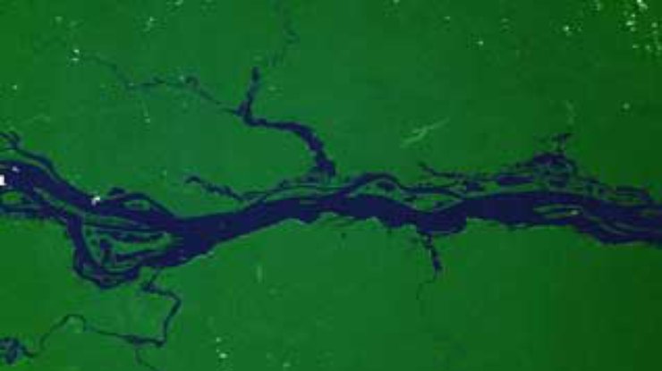 Экологи обеспокоены состоянием лесов Амазонии