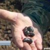Житель Крыма утверждает, что нашел осколки метеорита