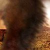Пылевые смерчи на Марсе создают гигантские электромагнитные поля