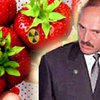 На зараженных радиацией землях Беларуси ударными темпами идет посевная