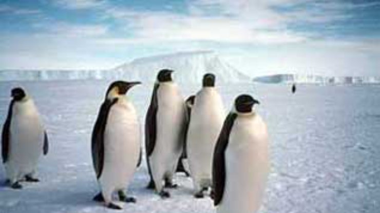 К 2100 году человек сможет существовать только в Антарктиде