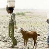 От сильной жары в Пакистане скончались четыре человека