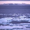 Арктические льды тают быстрее, чем ожидалось