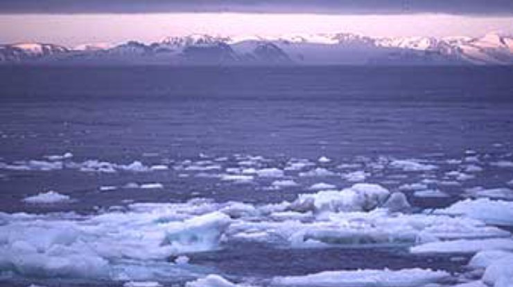 Арктические льды тают быстрее, чем ожидалось