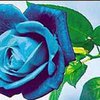 Ученые вывели синие розы