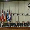 НАТО "в принципе" решила пригласить президента Украины на свой саммит