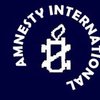 Amnesty International обвиняют во вмешательстве в "большую политику"