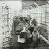 Память об Освенциме уходит в небытие