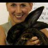 Крупнейшего в мире кролика отказались внести в книгу рекордов Гиннеса