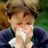 Родители неправильно борются с домашними аллергенами