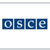 Начала работу миссия наблюдателей ОБСЕ за выборами президента Украины